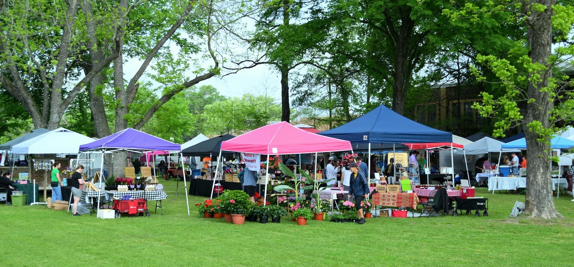 Vendors under canopies, gathered for the local farmer's market