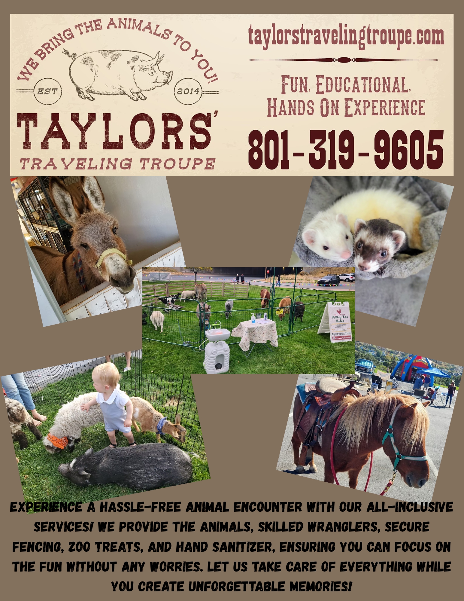 Petting Zoo